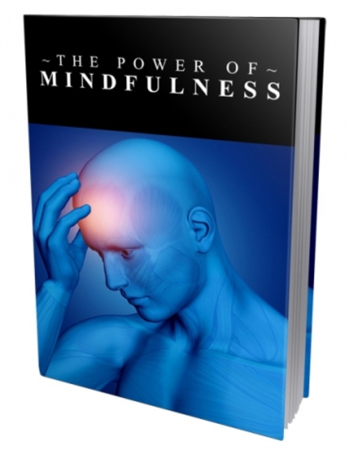 Product picture The Power of Mindfulness